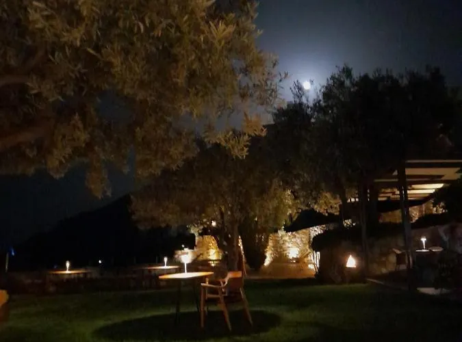 Aparthotel Yialasi