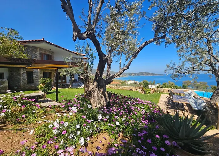 Aparthotel Yialasi