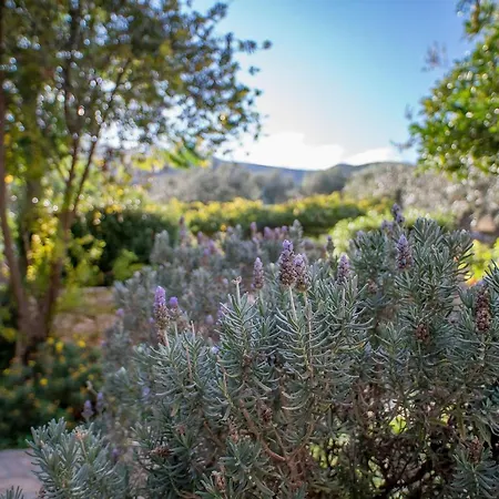 Yialasi 3* Epidaurus