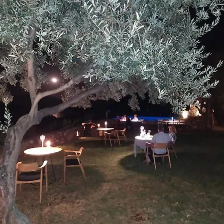 Ξενοδοχείο με διαμερίσματα Yialasi 3*
