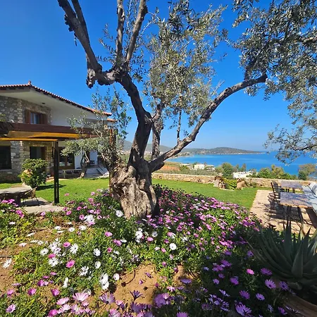 Aparthotel Yialasi