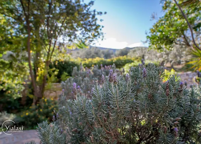 Yialasi 3* Epidaurus