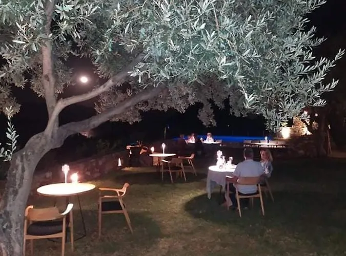 Apart-hotel Yialasi 3*